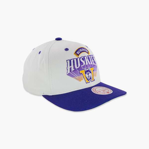 Washington Huskies Horizon Pro Crown Snapback