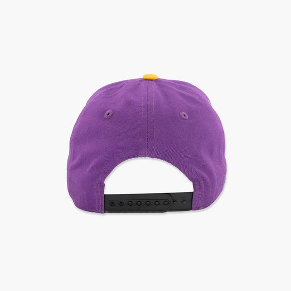 Washington Huskies Sailor Dawg Two-Toned Snapback