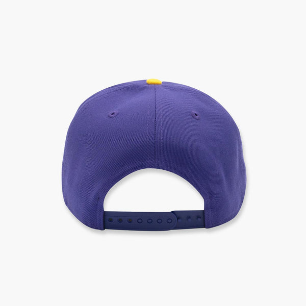 Washington Huskies Classic Throwback Two-Tone Snapback