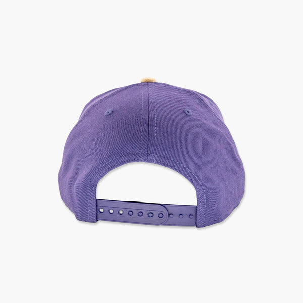 Washington Huskies Purple/Gold Primary Logo Snapback