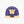 Washington Huskies Purple/Gold Primary Logo Snapback