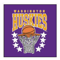 Washington Huskies Star Studded T-Shirt