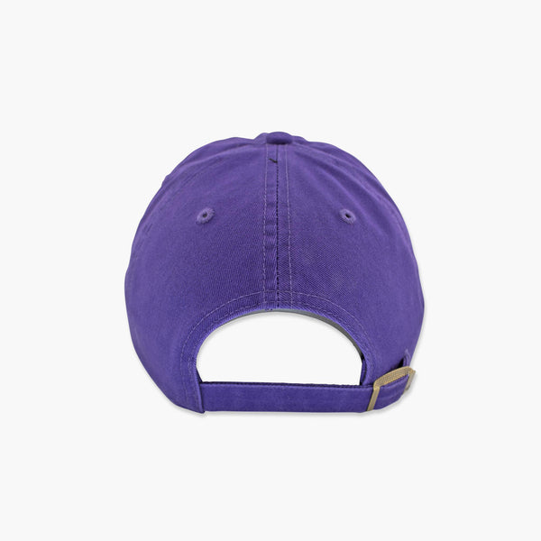 Washington Huskies Purple Clean Up Adjustable Hat