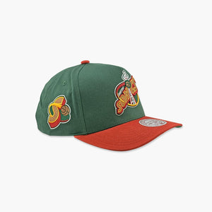 Seattle SuperSonics I Got 5 On Space Needle Pro Crown Snapback