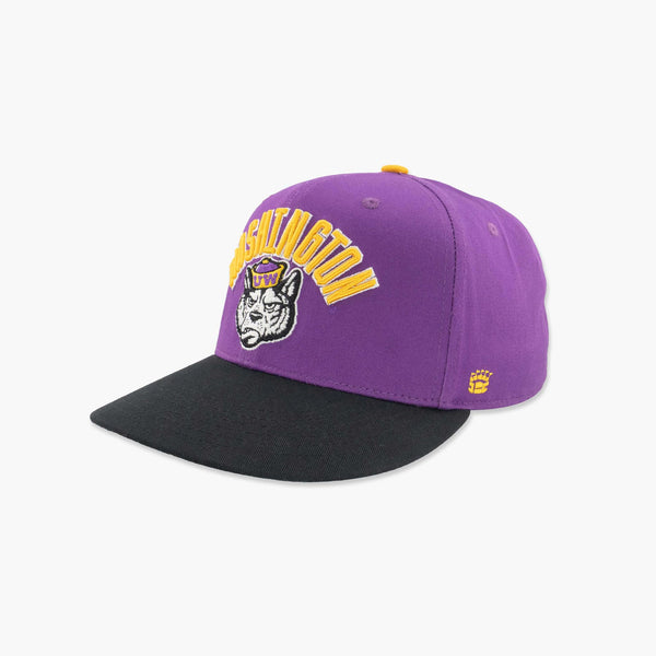 Washington Huskies Sailor Dawg Two-Toned Snapback