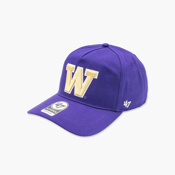 Washington Huskies Purple Hitch Snapback