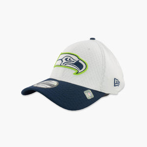 Seattle Seahawks 2024 Training Camp FlexFit Hat