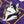 Washington Huskies Dubs Up Lacer Hoodie