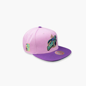 Seattle SuperSonics Violet Views Snapback