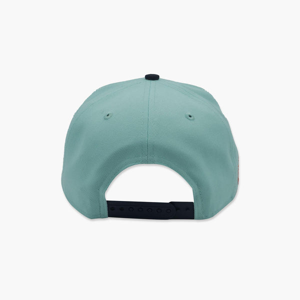 Coachella Valley Firebirds Primary Logo Ice Blue Snapback