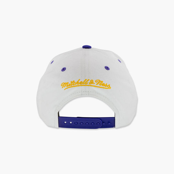 Washington Huskies Horizon Pro Crown Snapback