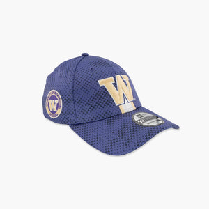 Washington Huskies 2024 Sideline Stripe FlexFit Hat