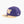 Washington Huskies Purple/Gold Primary Logo Snapback